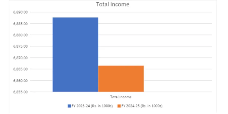 Income Statement Analysis